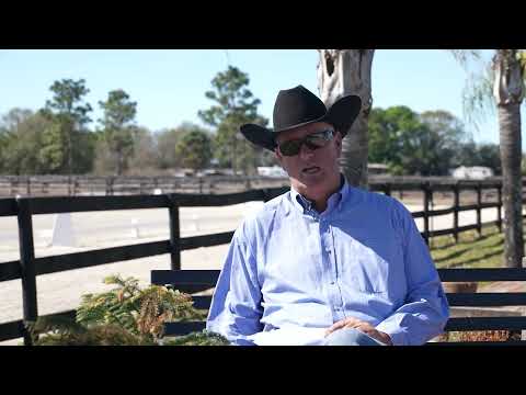 Introduction to Western Dressage
