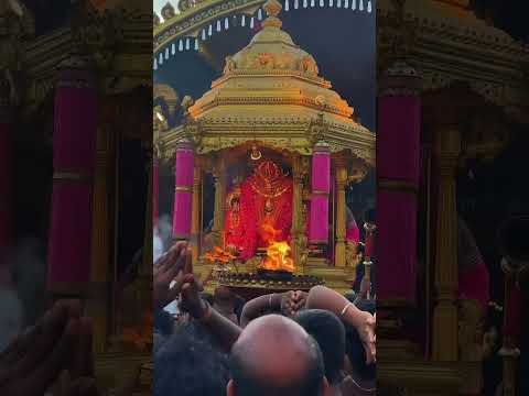 murugan 🪷 | murugan whatsapp status | #murugan #trending #murugantemple #viralreels