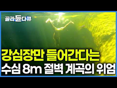 한국에서 가장 물 맑다고 난리 난 깊은 산골 오지 계곡의 실체. 데이터도 안 터지는 깊은 산골에 피서객들이 줄지어 모이는 이유｜한국기행｜#골라듄다큐