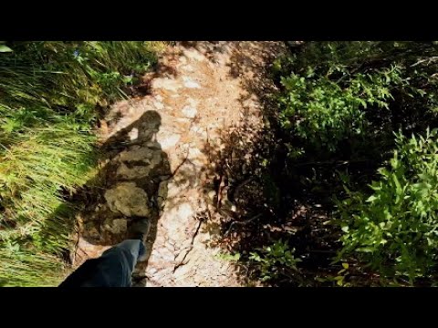 Tennessee MT Leconte Alum Cave Trail