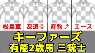 【POG2025-2026】キーファーズ所有有能2歳馬三銃士【マイコンプリート/ビーチェマーレ/カルロット】