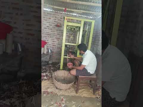 #bollywood #hindisong #love #song #bollywoodsongs #lifeisbutadream #lovesong #funny #bollywoodmusic