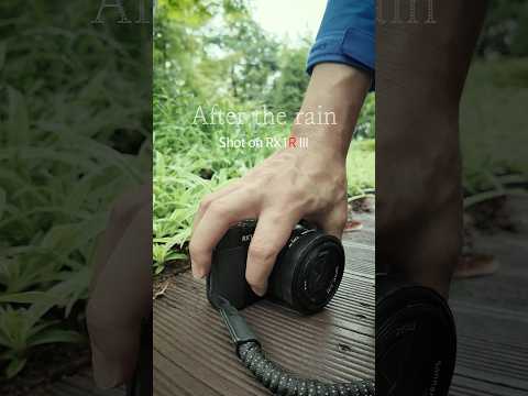#aftertherain 사진이 잘 담기는 시간 비 온 뒤의 가벼운 산책 #RX1Rm3 의 기록 #<strong>sony</strong> #SIA영상공작소
