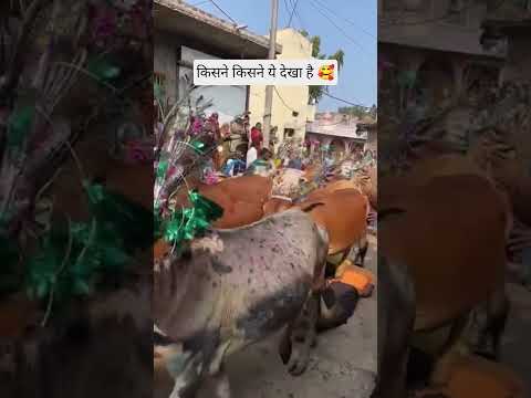 kiske yaha hota hai aaisa 🥰😎 #tranding #viralvideo #new