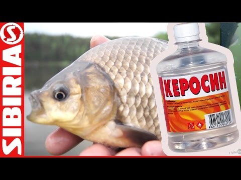 Карась, тесто, керосин Карась, тесто, керосин