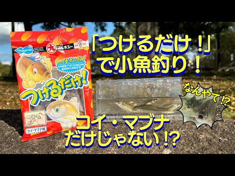 「つけるだけ!」で小魚釣り！