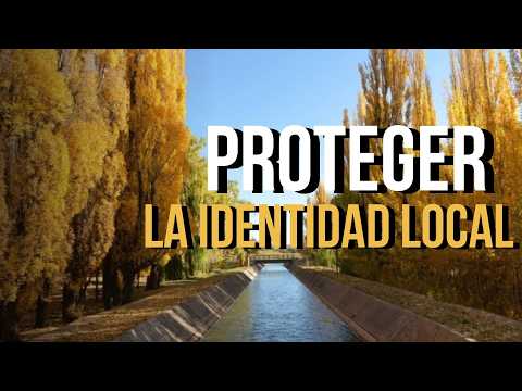 Mendoza lanza un PLAN PARA CUIDAR <strong>LOS</strong> ÁRBOLES y multará a <strong>los</strong> infractores