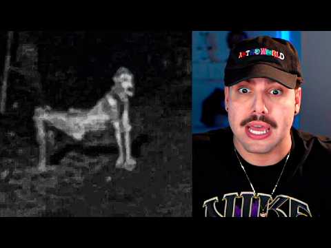 Ela descobriu da pior forma que o seu cachorro é um skinwalker