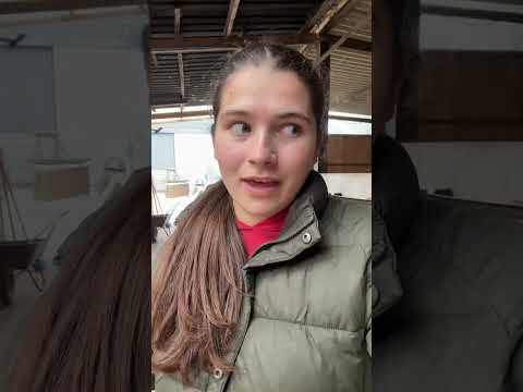 Meet the horses episode 1… Pippin ❤️ #equestrian #horse #equestrianjourney #getreadywithme