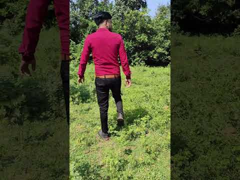 #shorts #viral #trending  #mosam