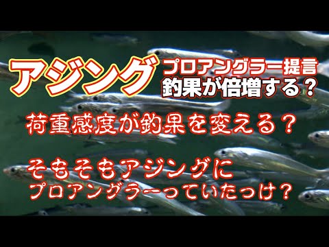 【アジング】荷重感度が釣果を激変させる？マジですか？