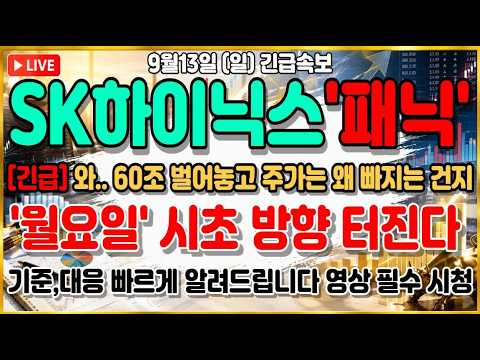 [SK하이닉스 주가전망] 외국인 2조 순매도에 개인까지 페닉셀 돌아섰다 무너지면 끝? 아니면 기회?.