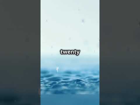 Raindrops: The Journey from Sky to Earth #Raindrops #WaterCycle #NatureScience