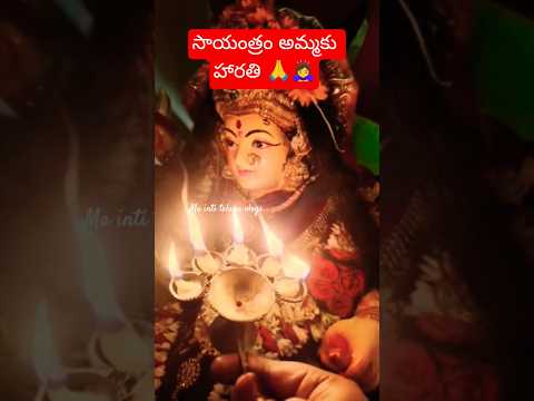 సాయంత్రం అమ్మకు హారతి 🙇♀️🙏 #trending #ytshorts #viral #shortvideo #ammavaru#amma#navaratrulu #durga