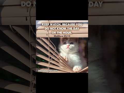 Happy Fall #worshipmusic #gospelmusic #christianmusic #dailybibleverse #cat #petlover