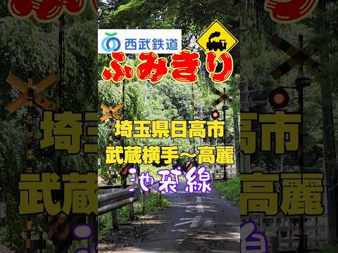 森の中に現れるラビューと4000系｜西武池袋線の魅力的な踏切#踏切 #西武池袋線 #特急ラビュー #4000系 #日高市 #埼玉の風景 #森の中の鉄道 #鉄道風景 #電車好きと繋がりたい