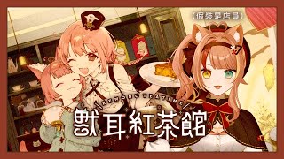 【獸耳紅茶館】～水曜日の午後でチルり✵𝒜𝒻𝓉𝑒𝓇𝓃𝑜𝑜𝓃 𝓉𝑒𝒶～【澄澄七✵】