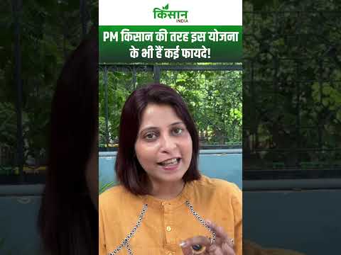 PM Jan Dhan Yojana 2025: लाखों का फ्री बीमा और भी कई बड़े फायदे! जानिए कैसे करें आवेदन। PM Kisan