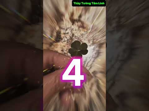 Hãy tịnh tâm bạn sẽ vượt qua tất cả ! #thaytuongtamlinh