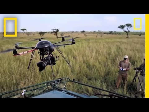 The Flying Camera | National Geographic - UCpVm7bg6pXKo1Pr6k5kxG9A