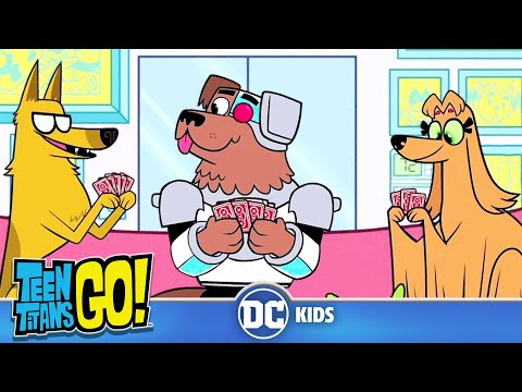 Teen Titans Go! | Animals Alive Part II | DC Kids - UCyu8StPfZWapR6rfW_JgqcA