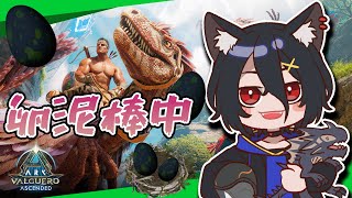 【公式PvE ASA】#9 2倍期間なので卵集めや建築など!夜にボス行くと思う!【おうかみ/ARK: Survival Ascended】