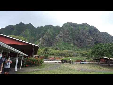 Kualoa Ranch Jurassic Park | Hawaii Vlog