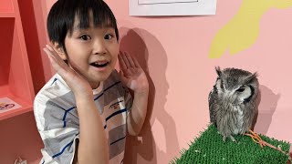 動画サムネイル