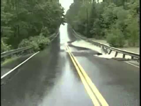 جند من جنود الله أنظر إلى عظمة الخالق