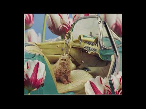 Shac Rivers - 06 - Giving Up