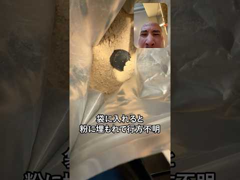 普通にプロテイン飲んでる人、実は損してます