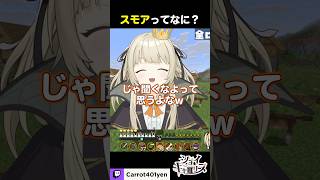 スト鯖で起きたスモア事件 #minecraft #ショイ・キャロリーヌ
