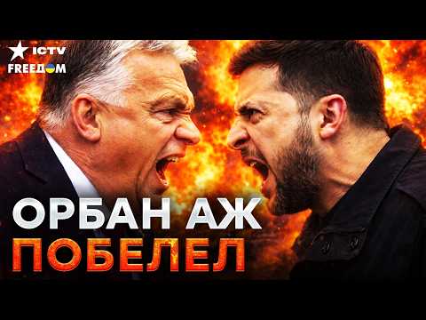 ⚡️ ЗЕЛЕНСКИЙ жестко ПРОШЕЛСЯ по Орбану! Реакция Венгрии ШОКИРУЕТ! ВОТ почему конфликт РАЗГОРАЕТСЯ