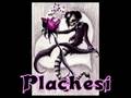 plachesi