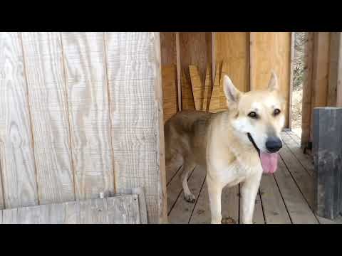 Updates on the shower room build.
