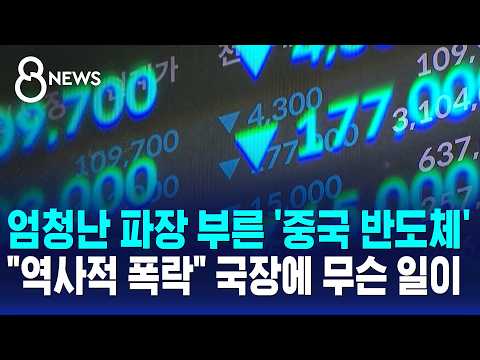 엄청난 파장 부른 '중국 반도체'.."역사적 폭락" 국장에 무슨 일이 / SBS 8뉴스