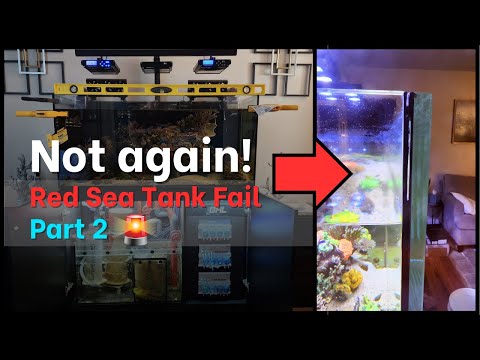 My Replacement Red Sea Tank Is Here… Now What?