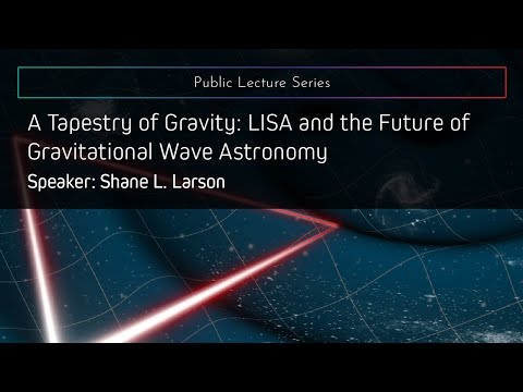 A Tapestry of Gravity: LISA and the Future of Gravitational Wave
Astronomy