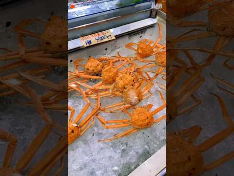 【道の駅琴の浦】魚に蟹が買える道の駅(鳥取県)#shorts