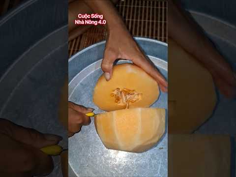 당뇨병 환자에게 의사조차 피하라고 권하는 <strong>과일</strong> 4가지 #건강 #건강관리