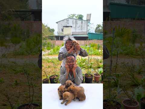 hai anh em trêu chọc nhau siêu dễ thương 🍉🐶🐶🐶🐶😱👶🏻♥️👴 #shorts #cute