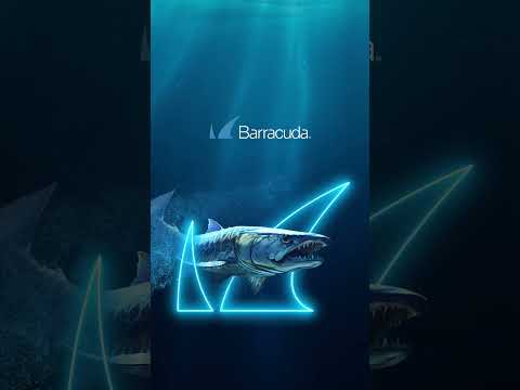 Barracuda | Ransomware Protection