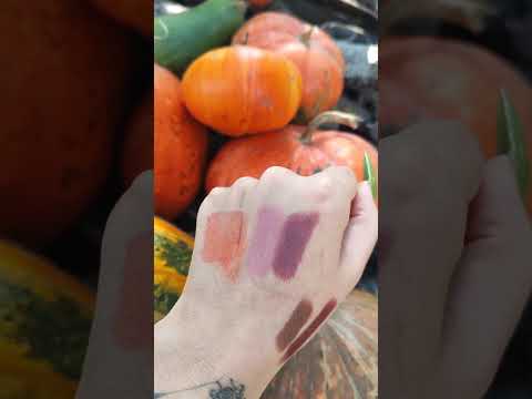 autumn lipstick collection