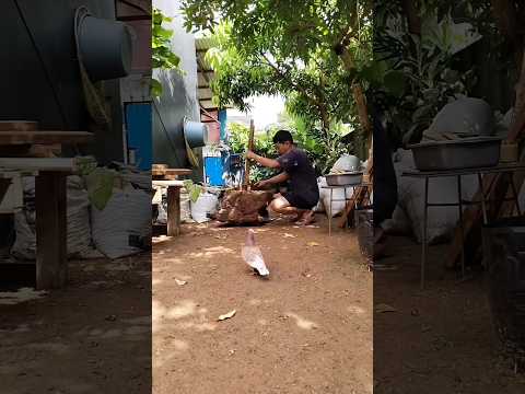 Buat Sesuatu #kerajinantangan #darikayu