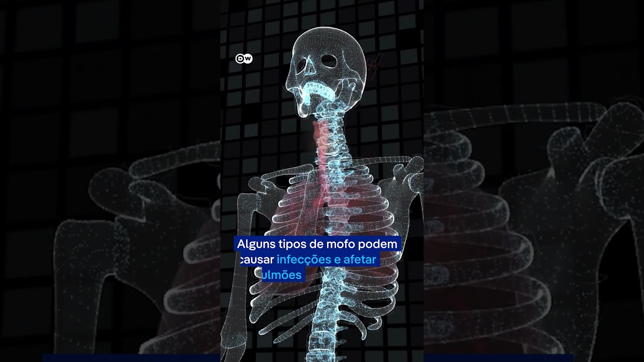 O mofo pode ser perigoso para astronautas