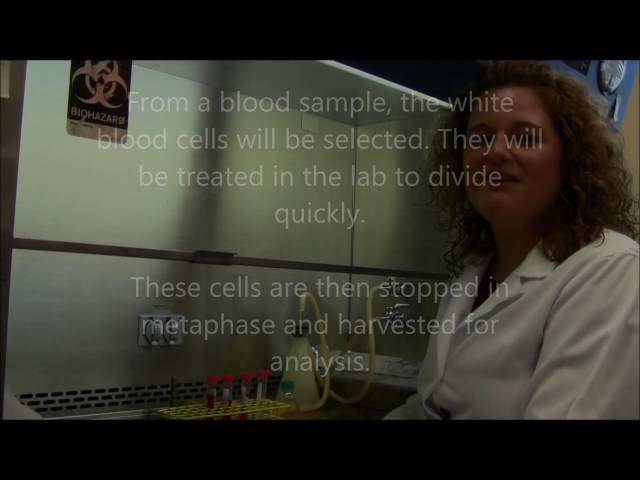 what-is-cytogenetic-technology-clearviewgestures