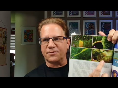 Why you should run a refugium If you have the space, installing a refugium on your reef aquarium will benefit it biologically.

Pl