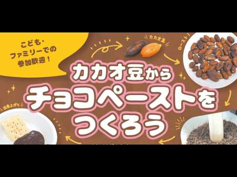 カカオ豆からチョコペーストを作ろう
