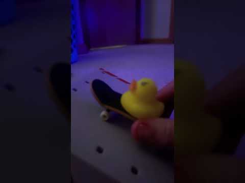 Duckie riding a skate bord #automobile #foryou #funny #musiclyrics #duck #duckie