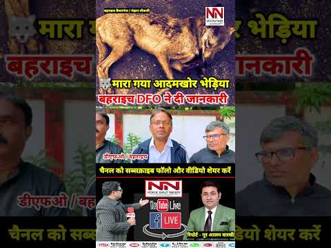 भेड़िया के आतंक का अंत बहराइच में आदमखोर भेड़िया मारा गया | #bhediya #shorts #viral #up